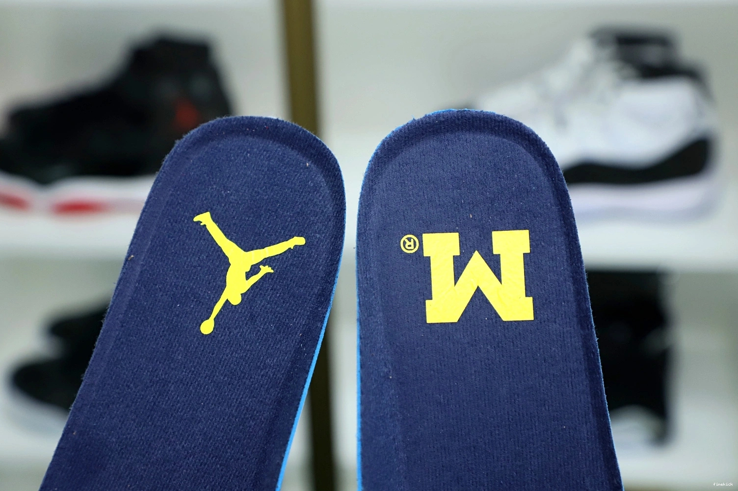 Jordan Air 4 Jordan 1010